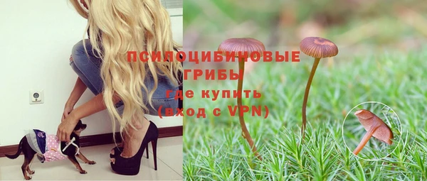 гидропоника Белокуриха