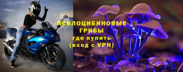 гидропоника Белокуриха