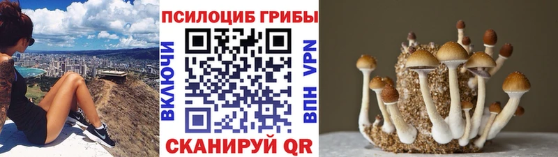 Псилоцибиновые грибы прущие грибы  дарк нет клад  Володарск  мега рабочий сайт 